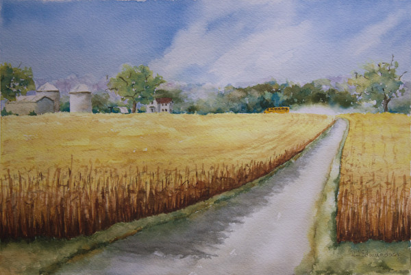 Almost Home.   Clay County Cornfields, September by Robin Edmundson