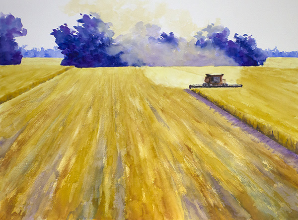 Bean Harvest by Robin Edmundson