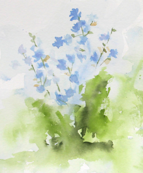 Chicory by Robin Edmundson