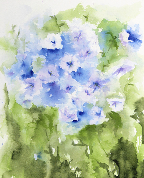 Blue Hydrangea by Robin Edmundson