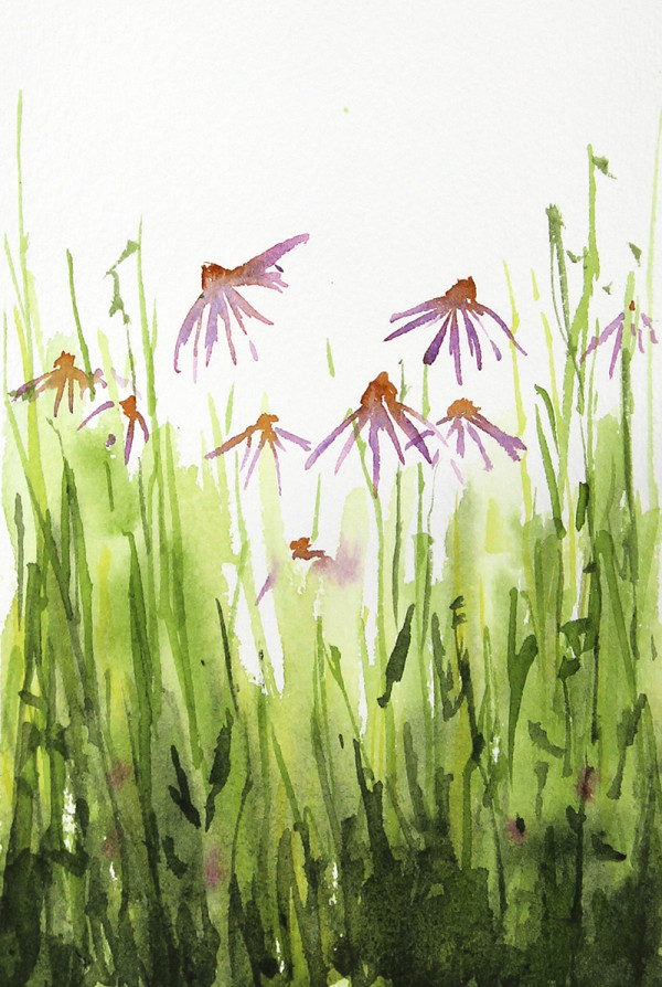 Echinacea & Clover by Robin Edmundson