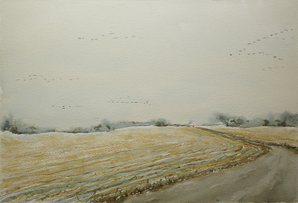 Geese Flying by Robin Edmundson