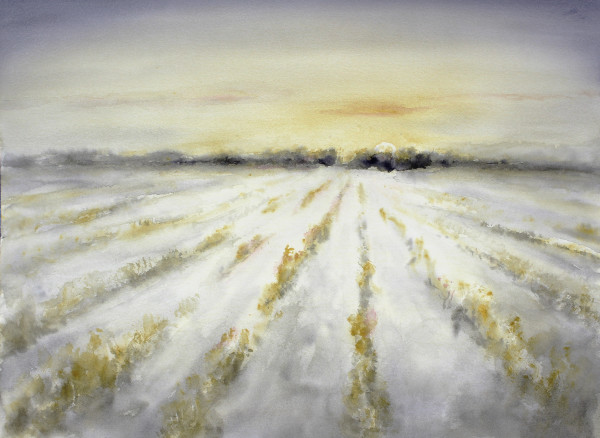 Golden Sunrise, Cornfield by Robin Edmundson