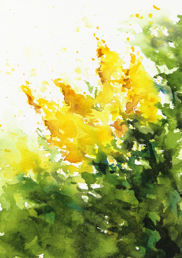 Goldenrod Blooms by Robin Edmundson