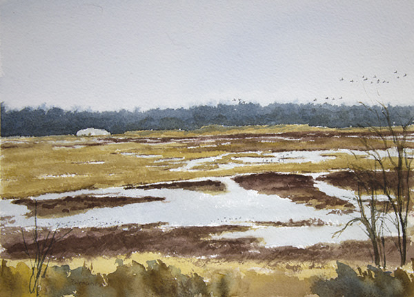 Goose Pond - February, Ducks by Robin Edmundson