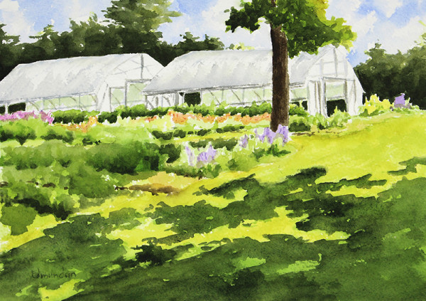 Greenhouses - Harvest Moon Farm by Robin Edmundson