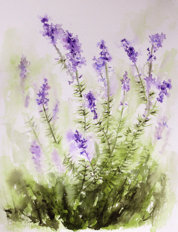Lavender - 682 by Robin Edmundson