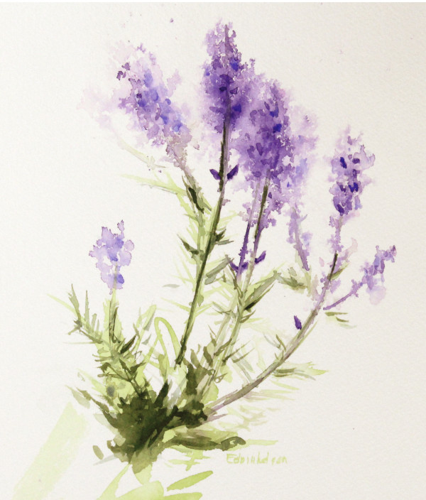 Lavender Sprig