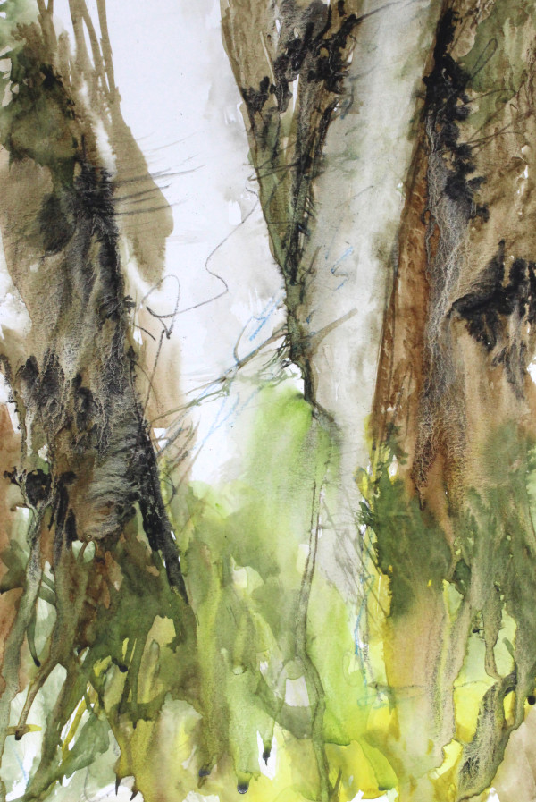 Mossy Tree by Robin Edmundson