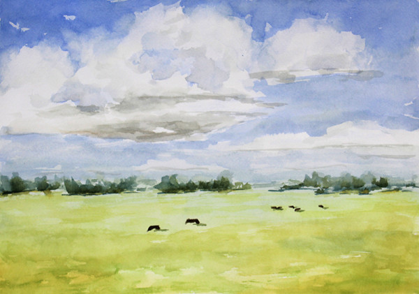 Cows Grazing, July by Robin Edmundson