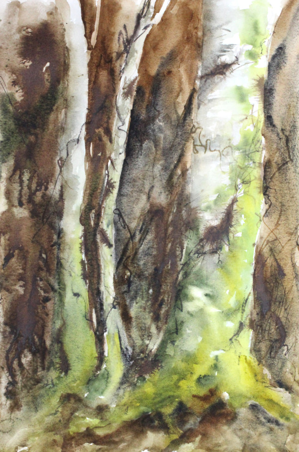 Trees & Moss by Robin Edmundson