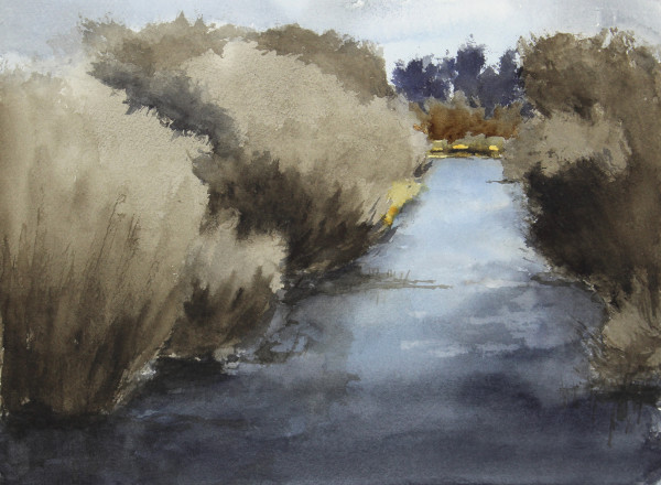 Beehunter Creek, Gold Field, 949 by Robin Edmundson