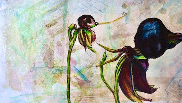 Flying Duck Orchid 10 by Gemma Kennedy