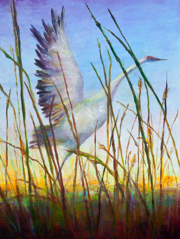 Flight at Sunset by Gini Crepps