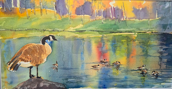 A Goose Takes A Gander by Robin Knox