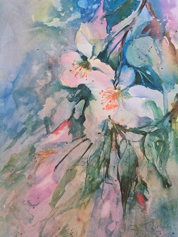 Blossom Time Finally! by Robin Knox