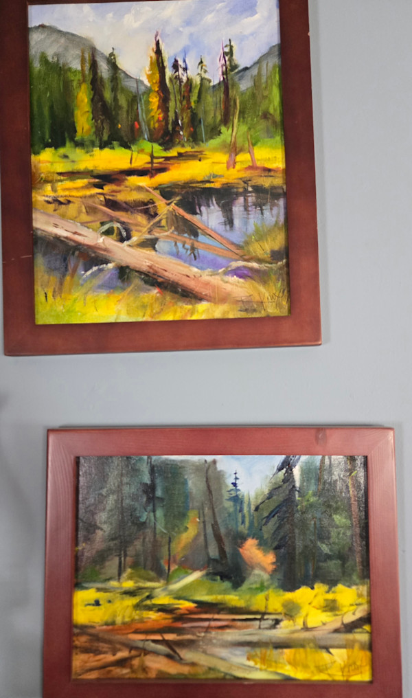 Manning Park Studies by Robin Knox