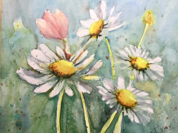 Daisy Chains by Robin Knox