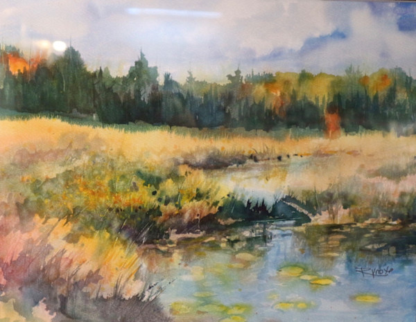 Spruce Bog Delights by Robin Knox