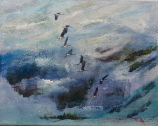 Wild Wings by Robin Knox