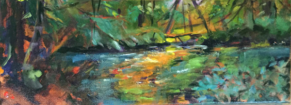 Picnic Spot , Diana Creek by Robin Knox