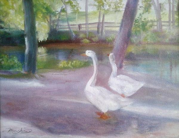 Swans at Smithville Park by Sheila Mashaw
