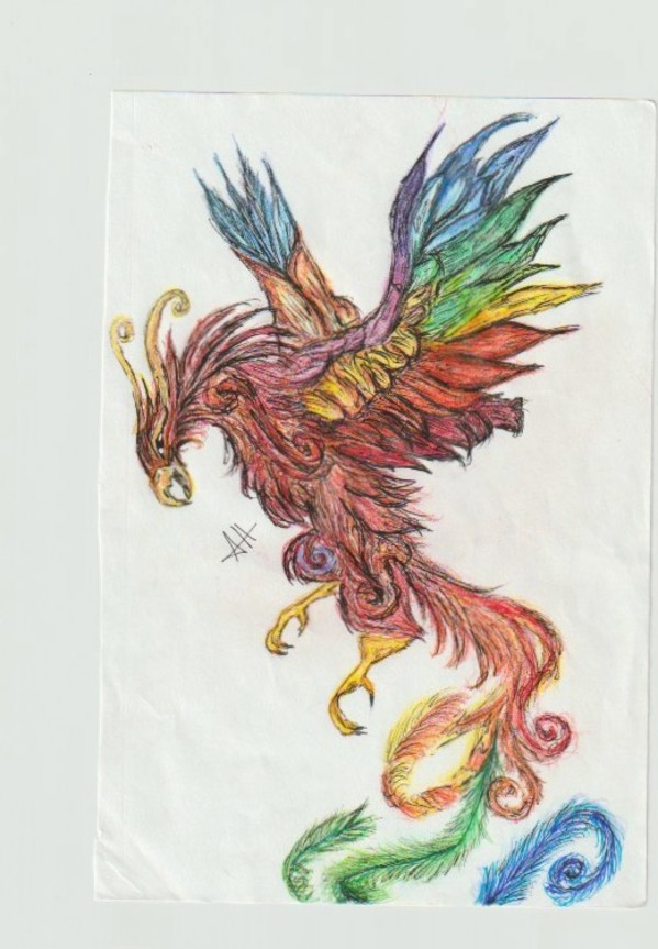 Rainbow Pheonix by addison harper, Image 1.