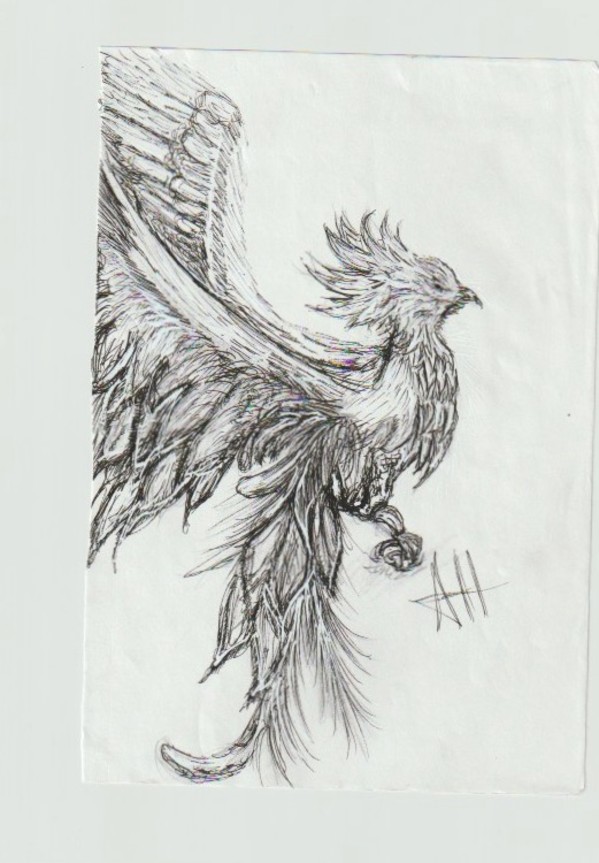 Bird by addison harper, Image 1.
