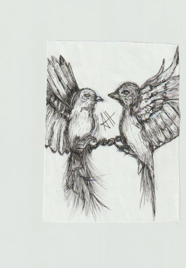 Birds by addison harper, Image 1.