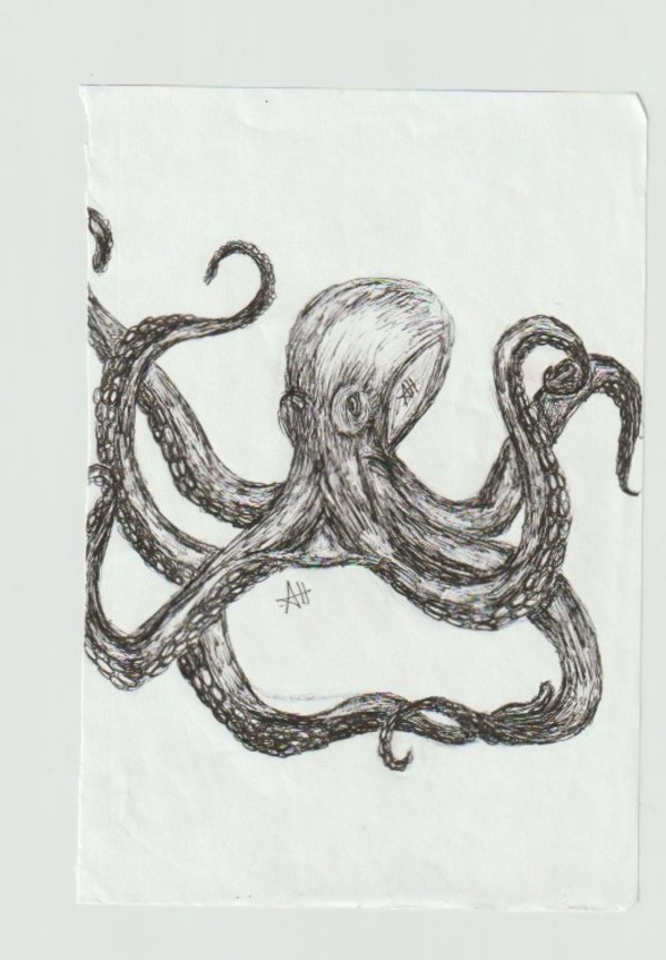 Octopus by addison harper, Image 1.