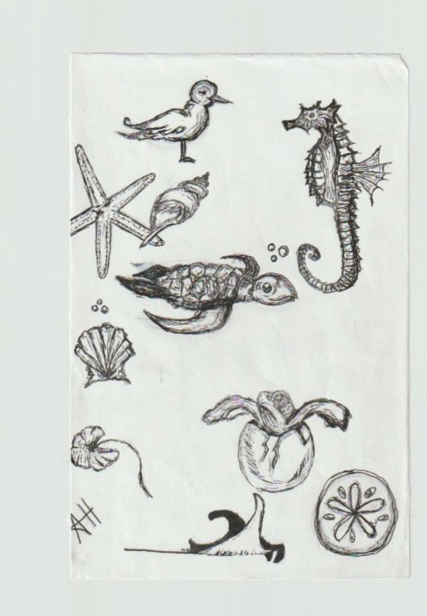 Sea Creatures by addison harper, Image 1.