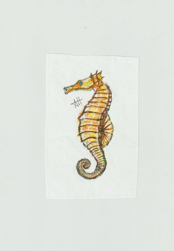 Sea Horse by addison harper, Image 1.