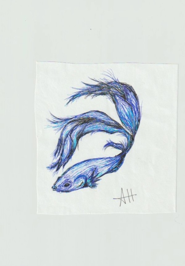 Betta Fish by addison harper, Image 1.