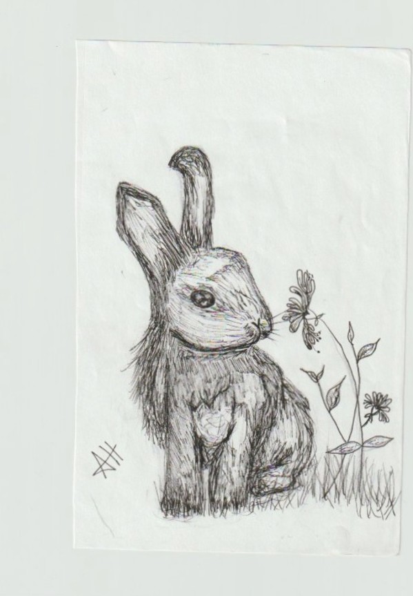Bunny by addison harper, Image 1.