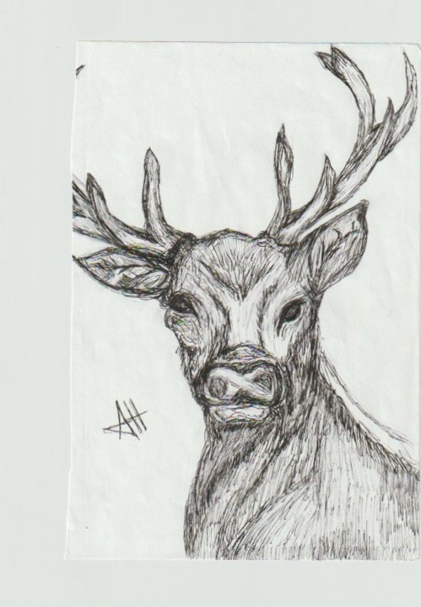 Buck by addison harper, Image 1.