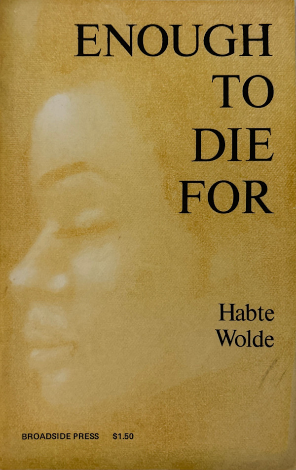 Enough to Die For by Habte Wolde