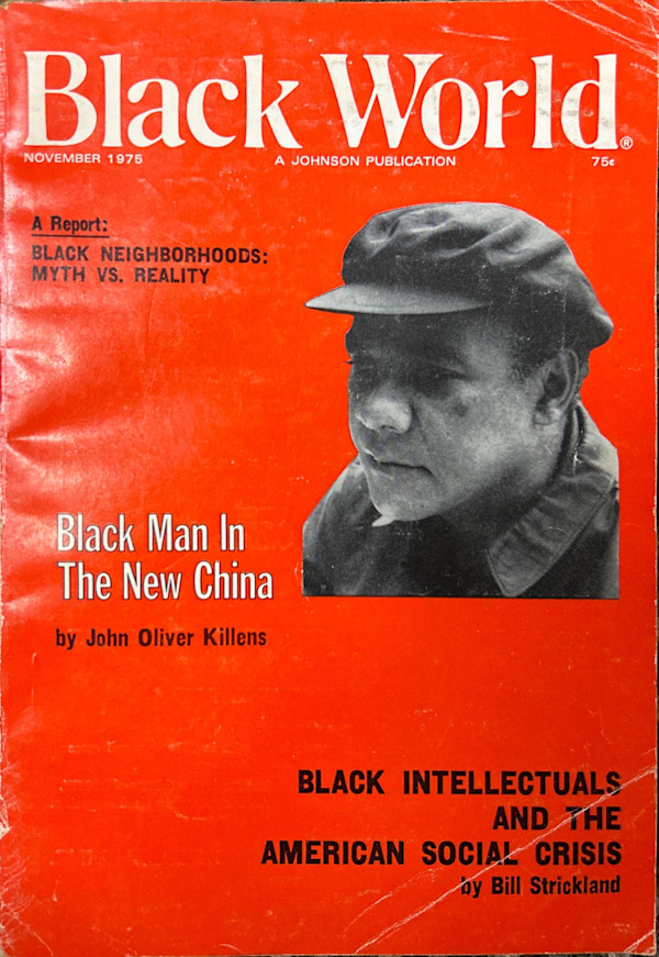 Black World - November 1975 by Hoyt W. Fuller