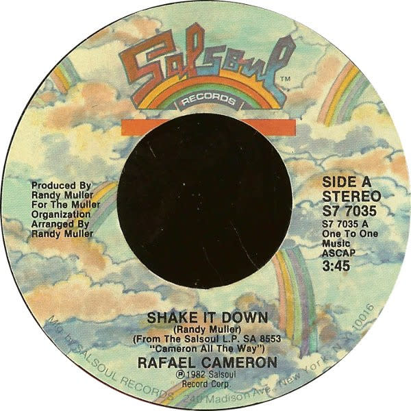 Shake It Down  by Rafael Cameron