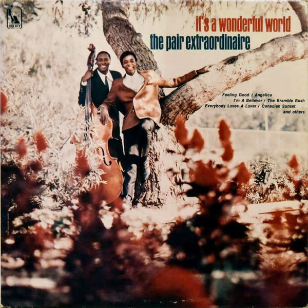 It's a Wonderful World  by The Pair Extraordinaire