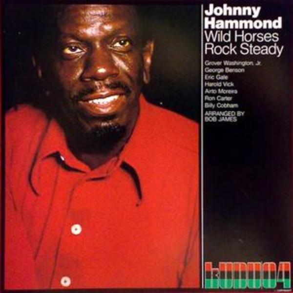 Wild Horses Rock Steady by Johnny Hammond, Image 1.