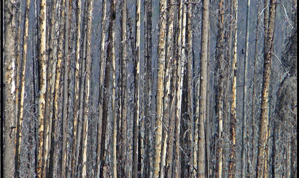 Kootenay Burn - A Four Seasons Series - #20 by James McElroy