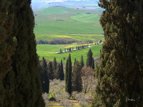 Tuscany in Green 1 by James McElroy