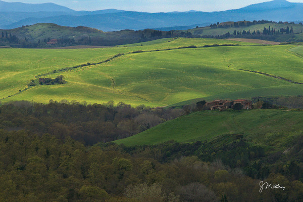 Tuscany in Green 5 by James McElroy