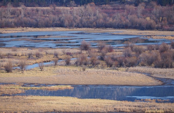 Columbia Valley Wetlands by James McElroy