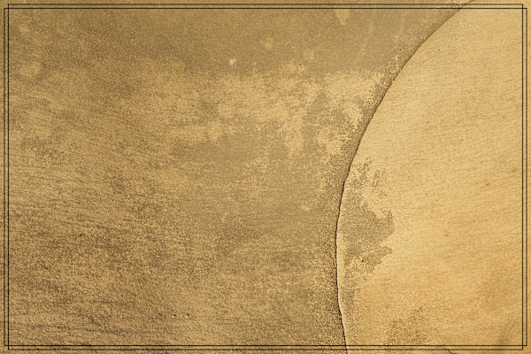 Perceptions 24 by James McElroy