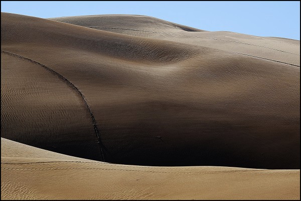 Sand Dune prints #1