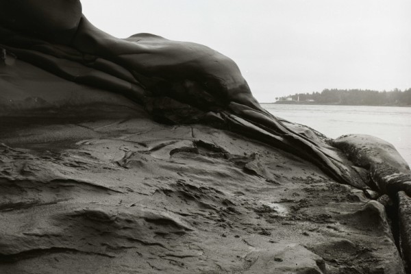 Grandfather Series (Galiano Rock Formations) - #005 by James McElroy