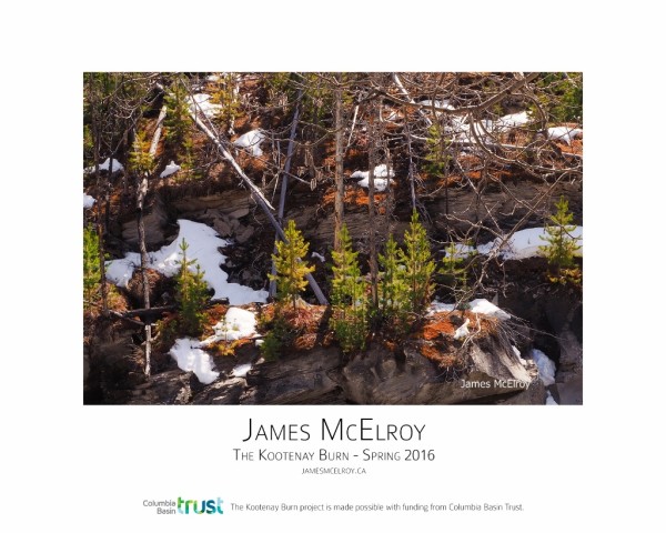 Kootenay Burn - A Four Seasons Framed Poster Series - Spring by James McElroy