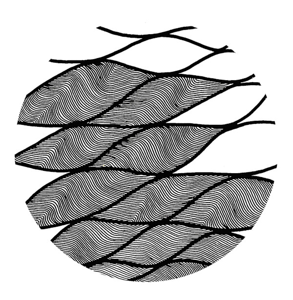 Duality by Philippe Dwyer, Image 4.
