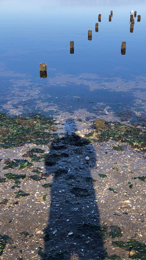 Shadow Self-Portrait / Shore by Dan Borden, Image 1.